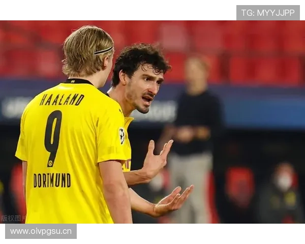 弗拉霍维奇 vs 哈兰德：终结能力的级别差异分析